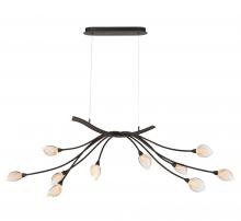 Lib & Co. CA 12234-043 - Modena, 10 Light Oval LED Chandelier, Â Black with Gold Accent