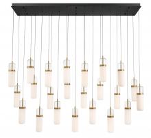 Lib & Co. CA 12249-02 - Verona, 23 light Rectangular LED Chandelier, Matte Black