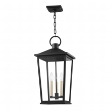 Troy F8911-TBK - Soren Exterior Pendant