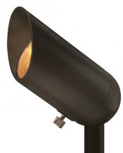 ACCENT SPOT LIGHT