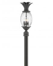 Hinkley Canada 2121MB-LV - Large Post Mount Lantern