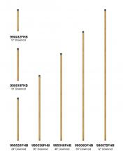 Hinkley Canada 990024FHB - 24" Downrod